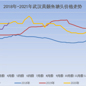 ���~ˬ�У�С�~���У��S��~��ߝq0.3Ԫ/��|��������ؼs