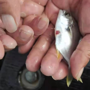 �������ݣ����K�~�r(ji��)���m(x��)���ԣ�������ô�k��| 2021��6��22�ս��K�~���^��(b��o)�r(ji��)