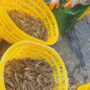 �V�|����Ӱ푣��r�r���һ��| 2021��6��23�Ռ��r���^��r