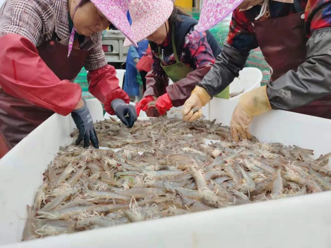 2021�������B�r���С��X�D����|6�°��r�Bֳ��ͱP