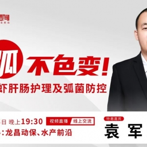 �����׌��r���c�o������������