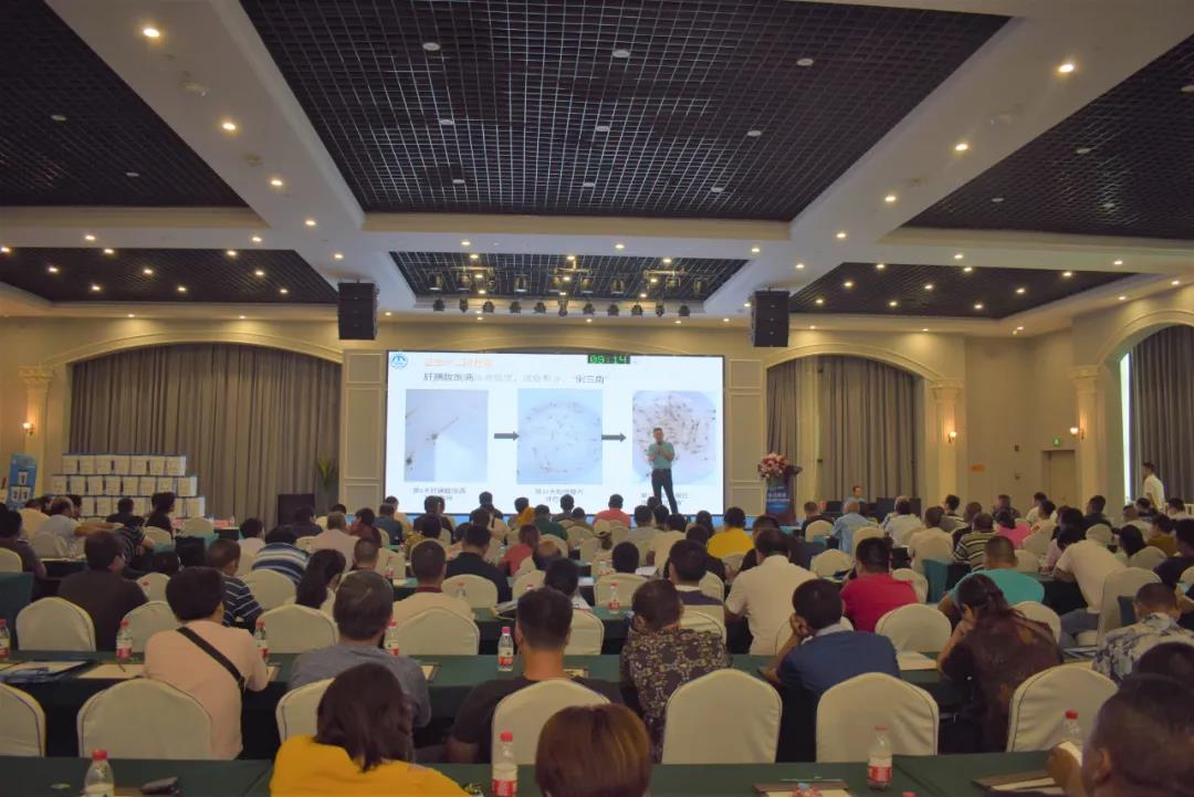 ���С����rģ��80����ٍ240�f��