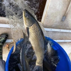 �ش���Kʧ10�f����ȱ؛�����߃r