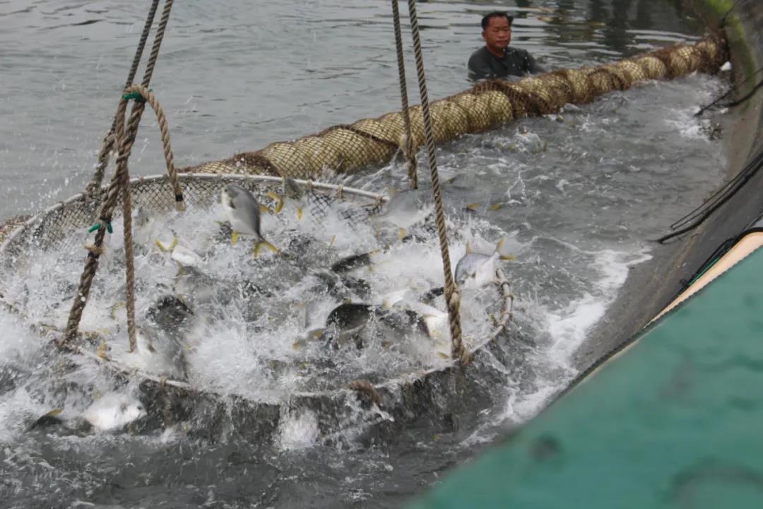 ���K�~�����Г��߃r��ٍ��10�fԪ/�䣡