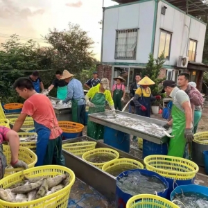 ���m�µ���2021��8��9��ȫ���Z�~���^��r