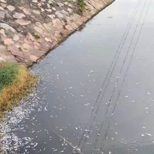 ȫ���S��~����+�u�r�pʧ���l�I�Σ�