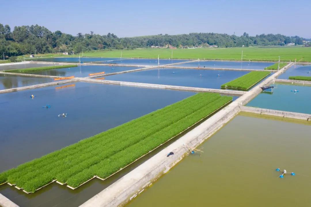 ���@���~���Nˮ�������a���_1300�����