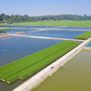 ���@���~���Nˮ�������a���_1300��