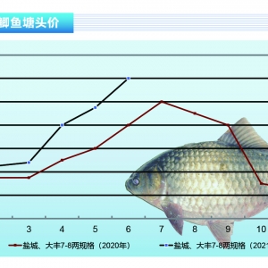 �a�~(y��)����(qi��ng)��(sh��)�������a�~(y��)������?z��ng)_�ߡ�����ˮ�a(ch��n)ǰ�ء�2021��7�¿��Ј�(ch��ng)څ��(sh��)