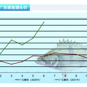 �Z�~�����ʽ������һ���±��q10-20Ԫ/�����ˮ�a(ch��n)ǰ�ء�2021��7�¿��Ј�څ��