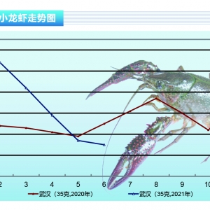С���r��ֹ���ϝq�����B(y��ng)�r�_ʼ�l(f��)��������ˮ�a(ch��n)ǰ�ء�2021��7�¿��Ј�(ch��ng)څ��(sh��)