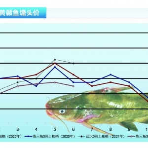 �S��~���ߜ�Ӱ��\ݔ��ͨ�����~�oȱ�����~�r������ˮ�aǰ�ء�2021��7�¿��Ј�څ��