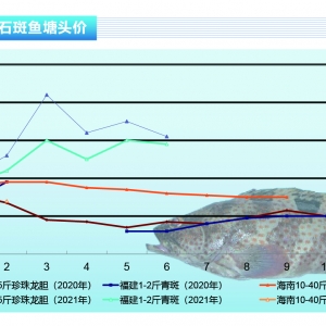 ʯ���~(y��)���������~(y��)�r(ji��)�µ���څ�ڷ�(w��n)��������ˮ�a(ch��n)ǰ�ء�2021��7�¿��Ј�(ch��ng)څ��(sh��)