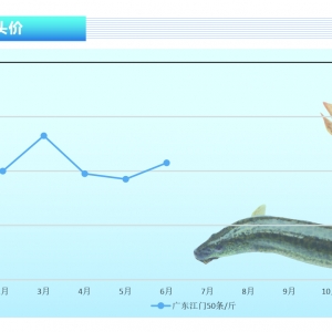 ���q��������Ӱ푣��\(y��n)ݔ���裬���r(ji��)�񲨄�(d��ng)���󡪡���ˮ�a(ch��n)ǰ�ء�2021��7�¿��Ј�(ch��ng)څ��(sh��)