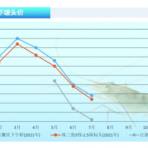 �_�����r���µ����ů����Ҏ(gu��)���_�r���Ј�(ch��ng)��A������ˮ�a(ch��n)ǰ�ء�2021��8�¿��Ј�(ch��ng)څ��(sh��)