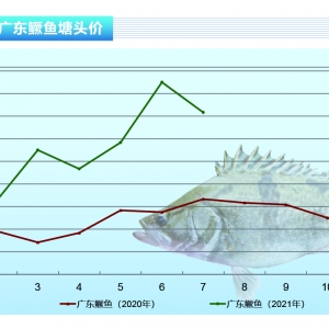 �Z�~����λ���䱩��8Ԫ/��֮���ٶȷ���������ˮ�a(ch��n)ǰ�ء�2021��8�¿��Ј�څ��