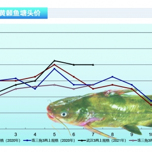 �S��~���ߜ�Ӱ푣����~�r���ͦ������ˮ�aǰ�ء�2021��8�¿��Ј�څ��