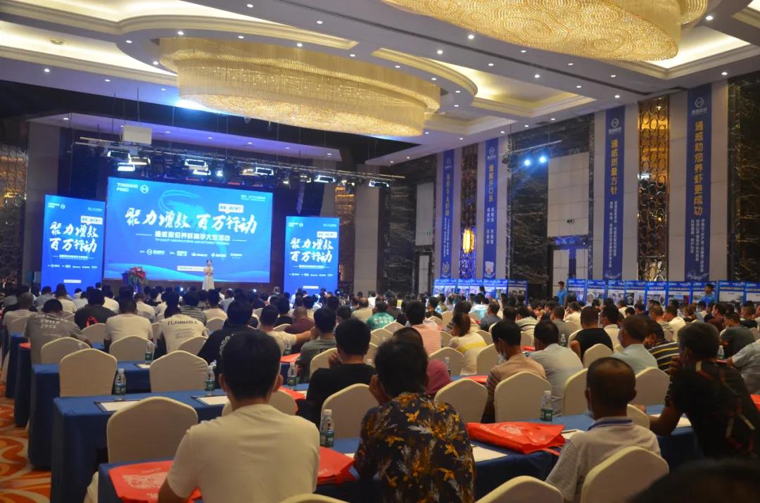 ����ը�����ο���������100�f���B�r�ߵ�