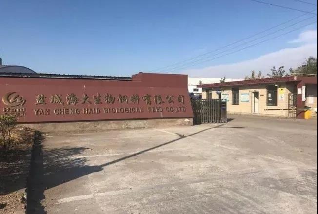 �AӋ����N�����f�����K�r�������͌�