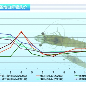 ���r����������M�𲽻֏ͣ��A���r�r�����ϝq������ˮ�aǰ�ء�2021��9�¿��Ј�څ��