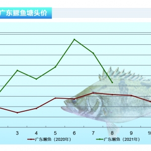 �Z�~�����m(x��)����20Ԫ/���K�ڻ���������ˮ�a(ch��n)ǰ�ء�2021��9�¿��Ј�څ��