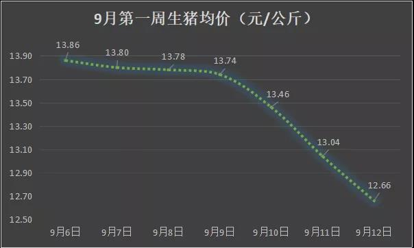 ���~���~�r����1.4Ԫ���p�����M�����ӻ؝q��