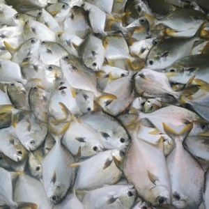 ���S���~����Ʒ�N�������L���j��30%