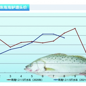 ���|���^�����~�������r��ȫ���»�������ˮ�aǰ�ء�2021��9�¿��Ј�څ��