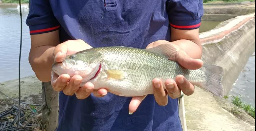 �����|��ô�B���ܸ�ٍ�X��