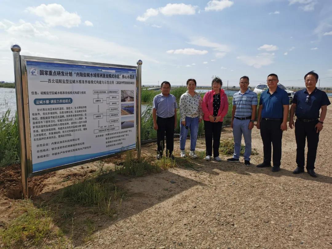 �C������α����롰һ̖�ļ����c���lչ���@�Nģʽ�򌢄���������E