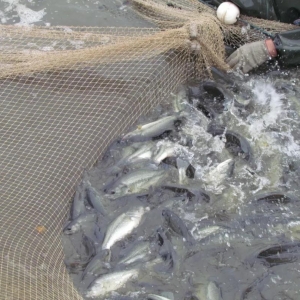 18Ԫ/��@���~�r(ji��)����ȫ����ߣ�