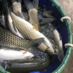 ̝�K������ֵ�1Ԫ/����~���Ƴɱ��r(ji��)��