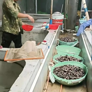 �o�����������_(t��i)�L(f��ng)+�����u����