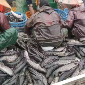 �����F�ăr��һ�����~��ٍʮ���f����ʲô��