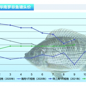 �_���~�����~���r�_���Ј����S���������Ρ�����ˮ�aǰ�ء�2021��10�¿��Ј�څ��