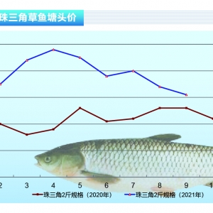 ���~��ȫ���������е��r���ֲ��ӽ��R���c������ˮ�a(ch��n)ǰ�ء�2021��10�¿��Ј�څ��