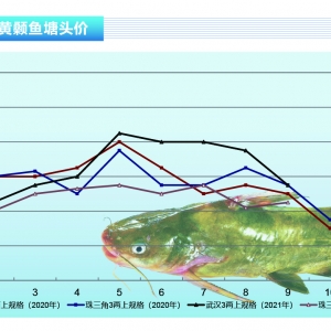 �S��~�����~���У������»����@������ˮ�aǰ�ء�2021��10�¿��Ј�څ��