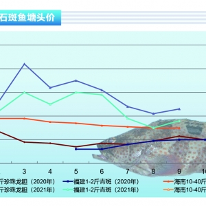 ʯ���~(y��)���������w�~(y��)�r(ji��)С���ϝq������ˮ�a(ch��n)ǰ�ء�2021��10�¿��Ј�(ch��ng)څ��(sh��)