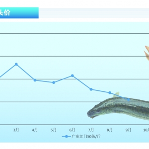 ���q���������f���ԣ����B(y��ng)�S�X���a(b��)������ˮ�a(ch��n)ǰ�ء�2021��10�¿��Ј�(ch��ng)څ��(sh��)