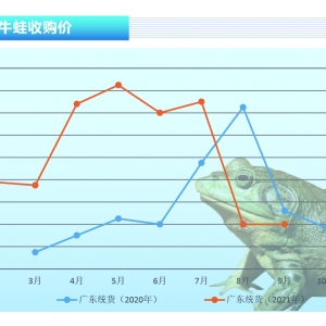 ţ�ܣ����|�󷶇����w������܃r�ȵ���؝q������ˮ�aǰ�ء�2021��10�¿��Ј�څ��