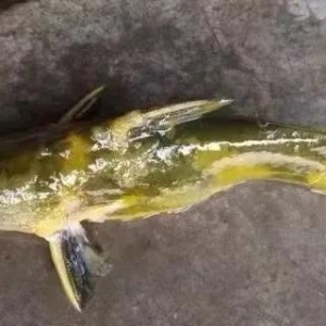 �S��~��Խ������