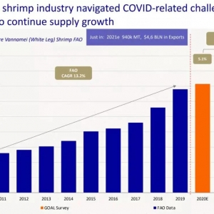 ȫ���r�a�I�����t����϶ࠖ���Ӱ��r���ڇ�������