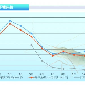 �_�����r���r(ji��)��(w��n)�������K�Ј�(ch��ng)�ӽ�β������ˮ�a(ch��n)ǰ�ء�2021��11�¿��Ј�(ch��ng)څ��(sh��)