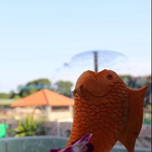 �L�ځ����������f����ˮ�aƷ���D������