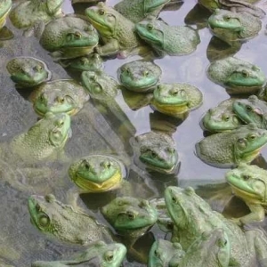 ���r(n��ng)����+�����(f��)�l(f��)���܃r(ji��)�B��2����