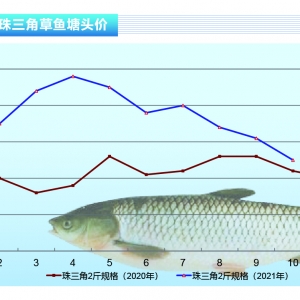 ���~��СҎ(gu��)��������c���B(y��ng)��Ҏ(gu��)����Ը���ӡ�����ˮ�a(ch��n)ǰ�ء�2021��11�¿��Ј�څ��