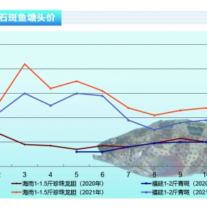 ʯ���~(y��)�����¸�Ʒ�N�r(ji��)����F(xi��n)�^����硪����ˮ�a(ch��n)ǰ�ء�2021��11�¿��Ј�(ch��ng)څ��(sh��)