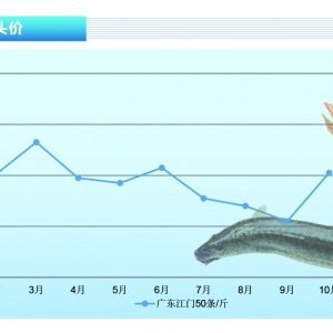 ���q��СҎ(gu��)�����q�r(ji��)��؝q������ˮ�a(ch��n)ǰ�ء�2021��11�¿��Ј�(ch��ng)څ��(sh��)
