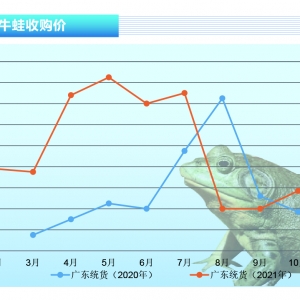 ţ�ܣ����a�^�������Fȱ�ڣ��܃r�ϝq������ˮ�aǰ�ء�2021��11�¿��Ј�څ��