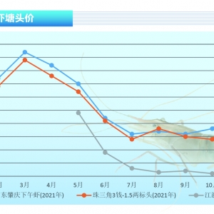 �_�����r���r(ji��)���ϝqڅ��(sh��)���@�ҝq���^�󡪡���ˮ�a(ch��n)ǰ�ء�2021��12�¿��Ј�(ch��ng)څ��(sh��)